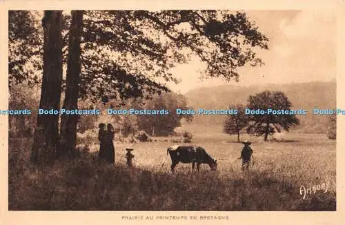 R401707 Prairie au Printemps en Bretagne Amaury E Hamonic 1933