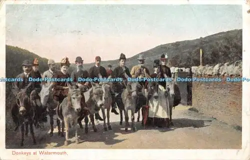 R403414 Esel in Watermouth Bildpapier Pfau Autochrom 1904