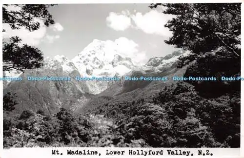 R403516 N Z Lower Hollyford Valley mt Madaline Seaward Studio