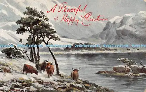 R401885 A Peaceful and Happy Christmas Wildt and Kray Series 1141 1907