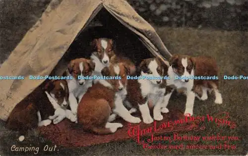 R400141 Camping Out With Love and Best Wishes Hunde Welpen W und K Serie Nr 339