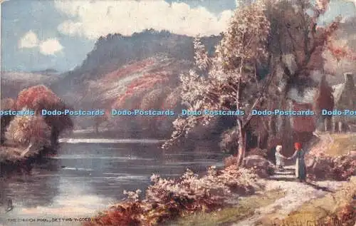 R402311 Betty Coed The Church Pool Tuck Oilette 7198