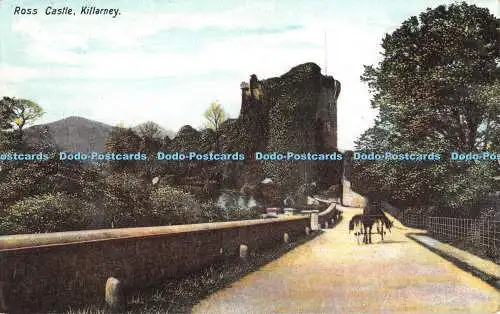 R402326 Killarney Ross Castle L Anthony Postkarte