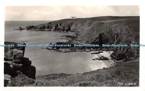 R400653 Die Eidechse Postkarte