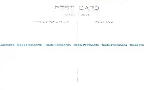 R400653 Die Eidechse Postkarte