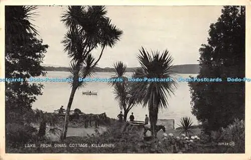 R404177 Lake from Dinas Cottage Killarney 96429 Valentine 1954