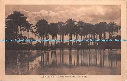 R404178 Le Caire Palmenholz ou the Nile Serie 49 The Cairo Postcard Trust 1916