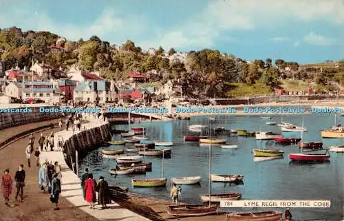 R402587 Lyme Regis From the Cobb Dearden and Wade