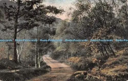 R404404 Path Valentines Serie 1904