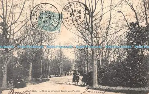 R404450 Nantes LAllee Centrale du Jardin des Plantes 1903