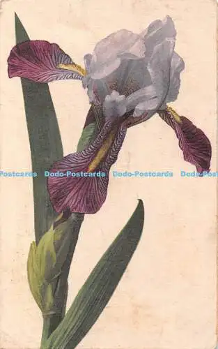 R406142 Blumen 583 Maroz 1928