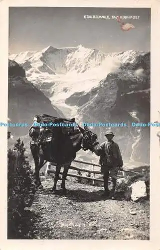 R406290 Grindelwald Foto Suisse Grindelwald 1925