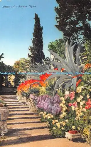 R407213 Flora della Riviera Ligure Brunner 702 13