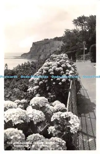 R407358 The Hydrangeas Keats Green Shanklin I W D 483 RP The Bay Series G Dean