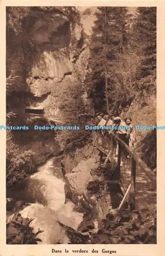 R407442 Dans la verdure des Gorges Gorges de la Diosaz Une merveille de la Natur