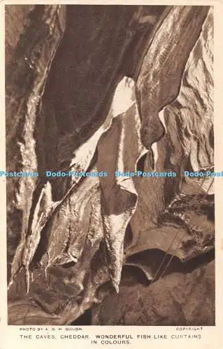 R406592 A G H Gough The Caves Cheddar Wunderbare fischähnliche Vorhänge in Farben