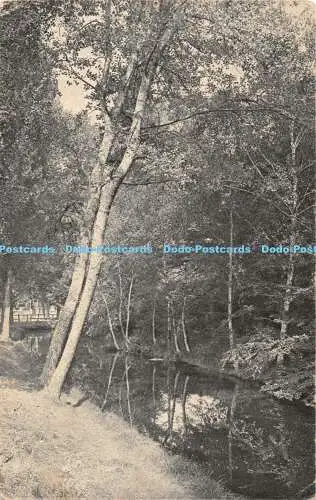 R406596 Wald Stimmungsbilder Nr 1834 gedruckt in Deutschland