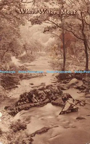 R406789 Where Waters Meet River Solomon Bros Series No 119 1916