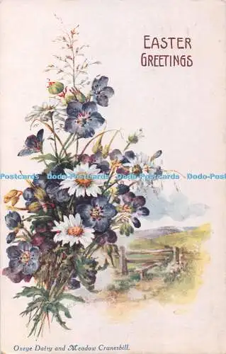 R408354 Ostergrüße Oxeye Daisy and Meadow Cranesbill James Henderson Favorit