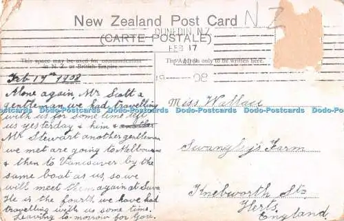 R412768 N Z Dunedin High School Postkarte 1908