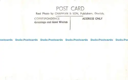 R411348 Branscombe 13189 Chapman RP