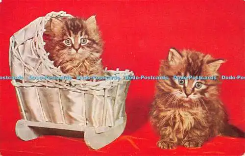 R413296 Zwei Kätzchen J Lachs Postkarte 1960