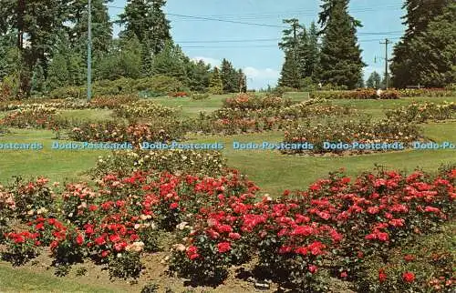 R415328 Kanada Vancouver B C Rose Gardens Stanley Park The Coast Publishing Koda