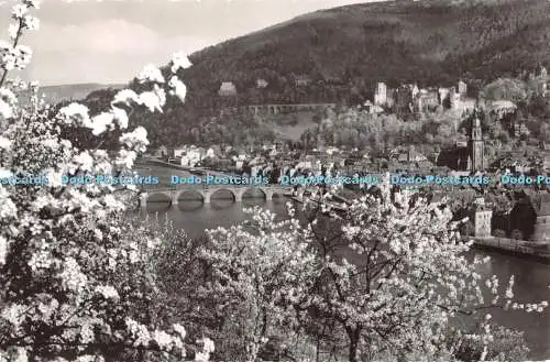 R411699 Heidelberg im Blutenzauber Blick vom Philosophenweg Aqfa Schoning