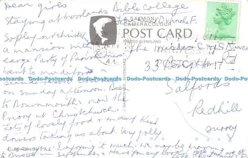 R411857 Schöne Hampshire Lachspferde Multi View