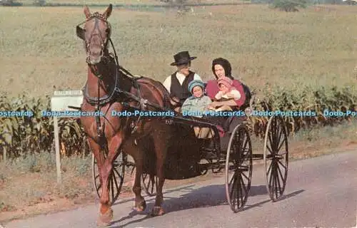 R415731 SM 31 Pennsylvania Dutch Country An Amish Family Horse Mike Dussinger Lu