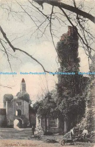 R418144 Sherborne Castle Ruins R Wilkinson 1906