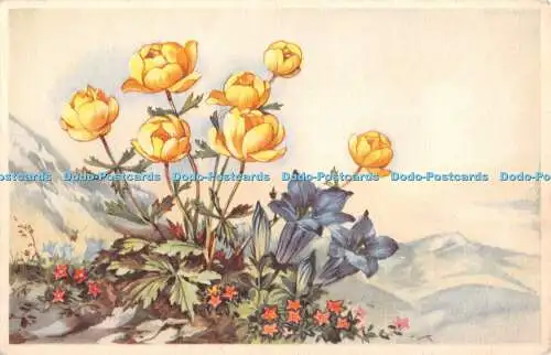 R416351 Blumen Gemälde Coloprint Sonderdruck in Belgien