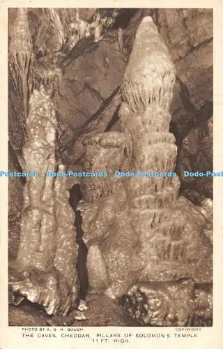 R418585 A G H Gough The Caves Cheddar Pillars of Salomons Temple