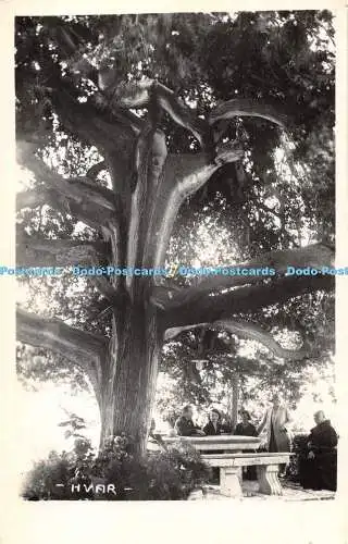 R418672 Hvar alte Fotopostkarte