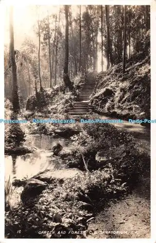 R419418 16 Garten und Wald C S Sanatorium S F Christliche Wissenschaft Wohlwollender Esel