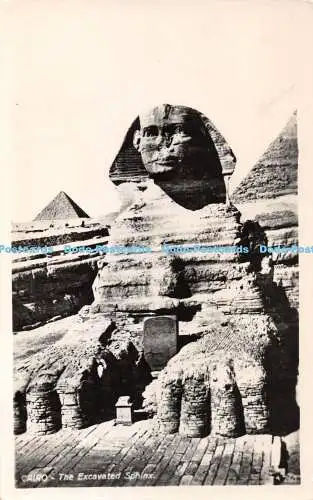 R419425 260 Cairo The Excavated Sphinx 1959