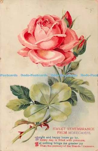 R420671 Sweet Remembrance from Morecambe Red rose