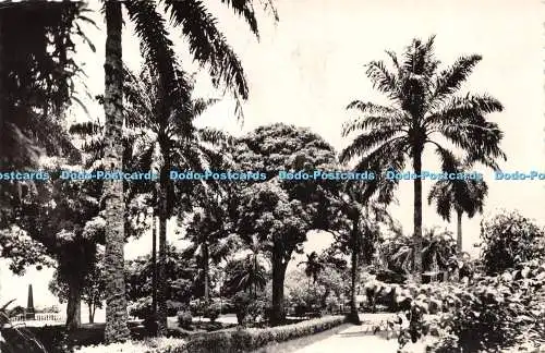 R422907 Douala Kamerun Jardin de la Delegation Foto Ozean 1959