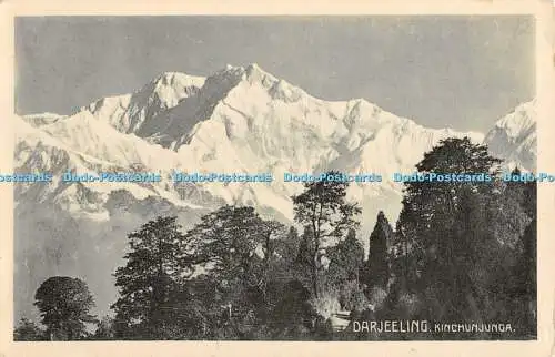 R424869 Darjeeling Kinchunjunga D Macropolo Nr 1142
