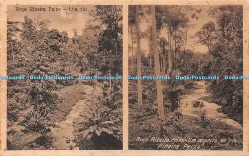 R423680 Roca Ribeira Peixe um rio Auspicio Menezes Limitada Multi View