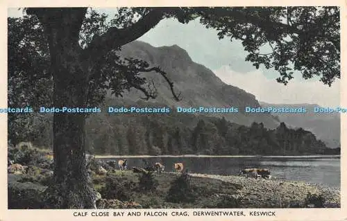 R427094 Keswick Calf Close Bay and Falcon Crag Derwentwater G B Abraham Photogra