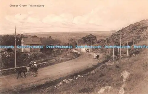 R425748 Johannesburg Orange Grove G B Postkarte