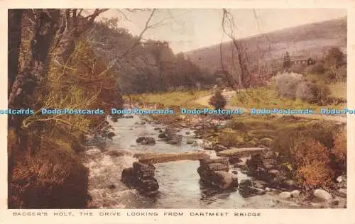 R423849 Badger Holt The Drive Looking from Dartmeet Bridge Proprietor The R A P