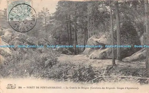 R421958 391 Foret de Fontainebleau La Gueule du Dragon Cavaliere des Brigands Go