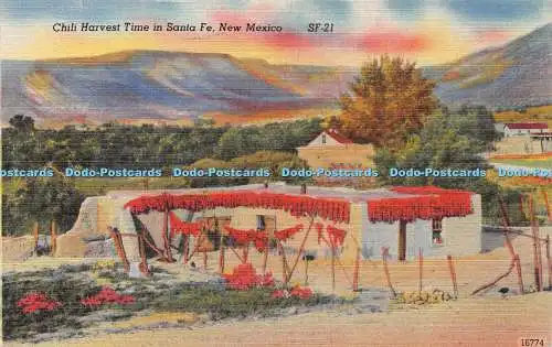 R421965 Chili Erntezeit in Santa Fe New Mexico SF 21 16774 Old Trail News Alter