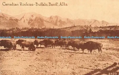 R425903 Canadian Rockies Buffalo Banff Alta Pacific Publishing Empire Series