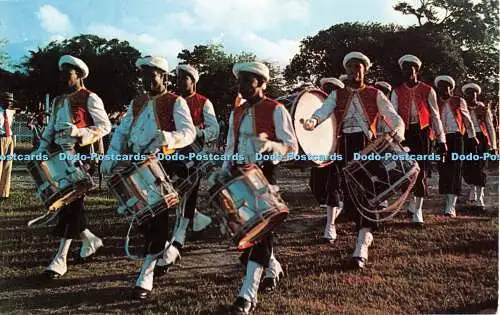 R429518 Fife and Drummers Zouave Uniform Garrison Savanah St Michael Barbados H