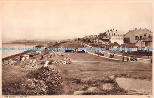 R428206 The Slopes Tankerton 27466