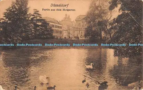 R428493 Düsseldorf Partie aus dem Hofgarten 1907