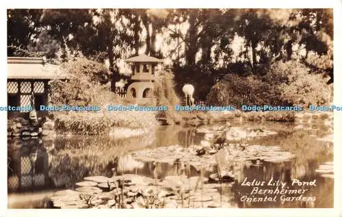 R428876 Lotus Seerosenteich Betnheimer Orientalische Gärten